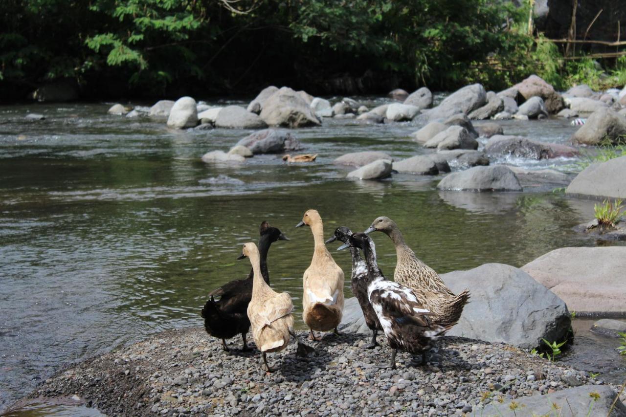 Pondok Tepi Sungai Sidemen  Esterno foto